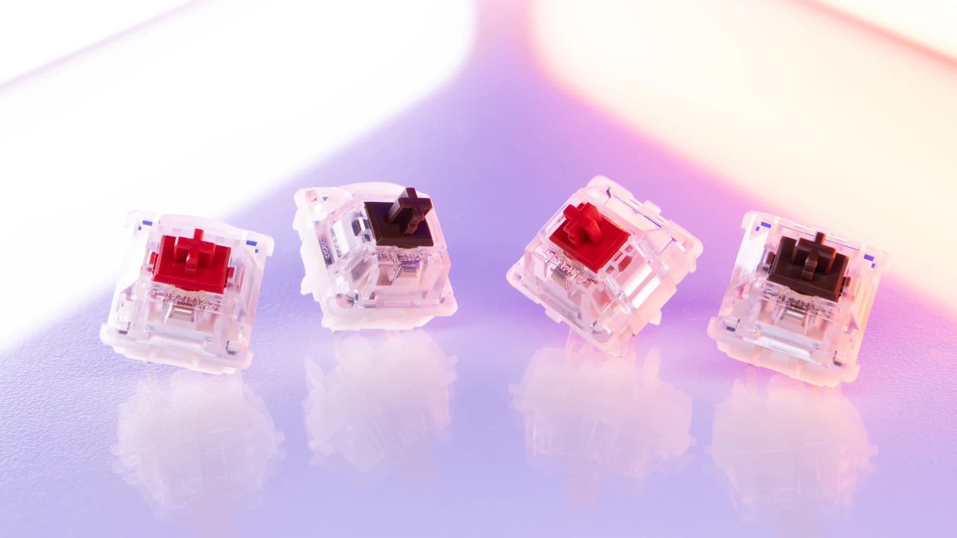 Beitragsbild zu CHERRY präsentiert MX ILLUMA und MX EMERALD REEF