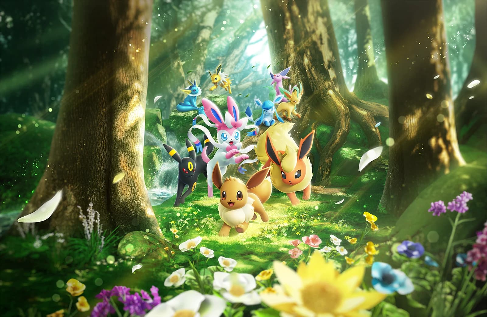 Beitragsbild zu Pokémon-Sammelkartenspiel-Pocket kündigt die Erweiterung Evoli-Hain an