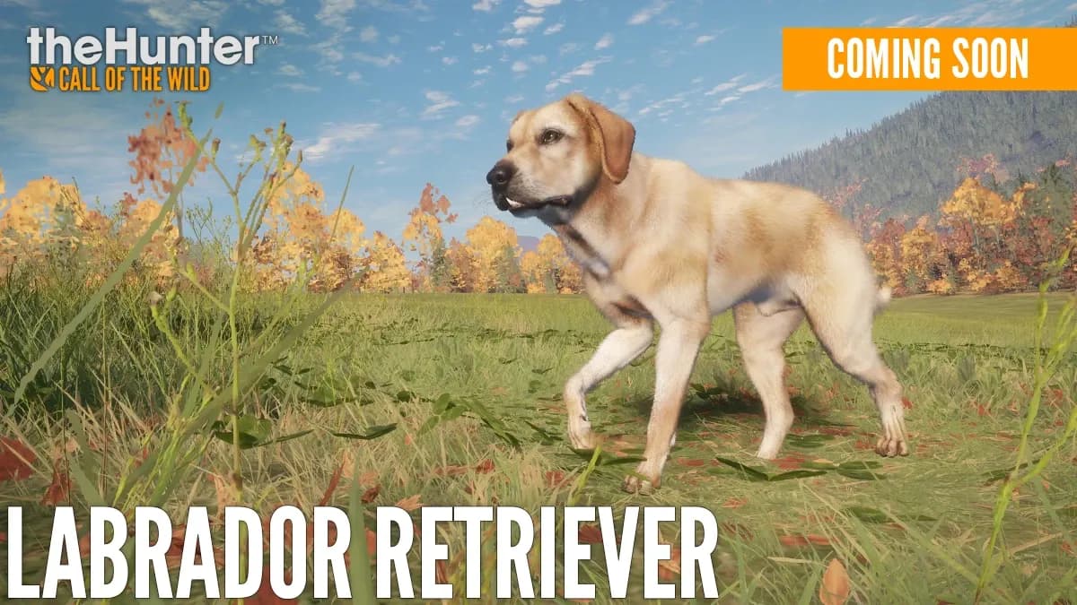Der Labrador Retriever kommt ab heute in theHunter: Call of the Wild angesprungen